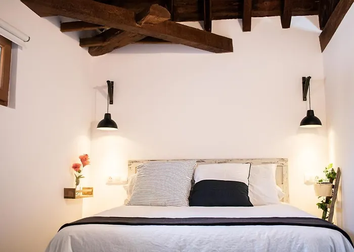 Atico Con Vistas Daire Toledo