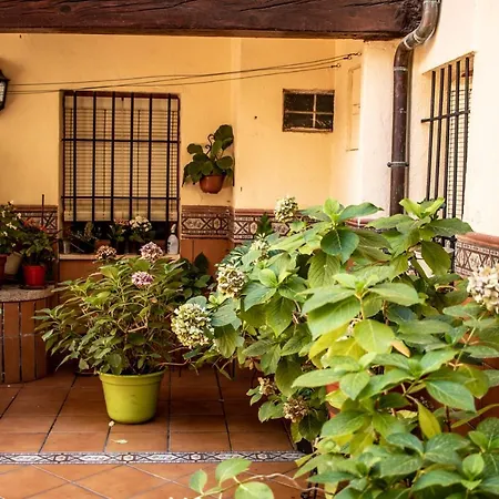 Atico Con Vistas Apartment *
